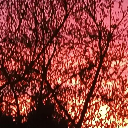 Дом отдыха L'ecurie Meneslies