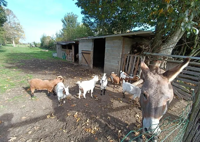 L'écurie Hébergement de vacances Meneslies