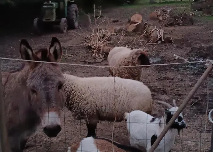Hébergement de vacances L'écurie