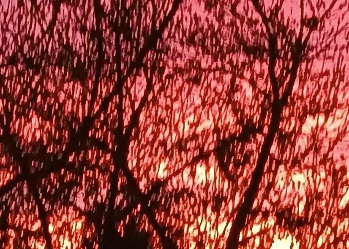 Hébergement de vacances L'écurie Meneslies