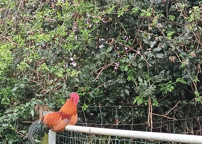 Hébergement de vacances L'écurie *